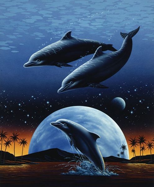 Porpoise and Moon I