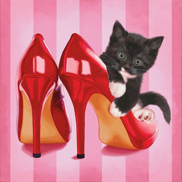 Chaton et chaussures