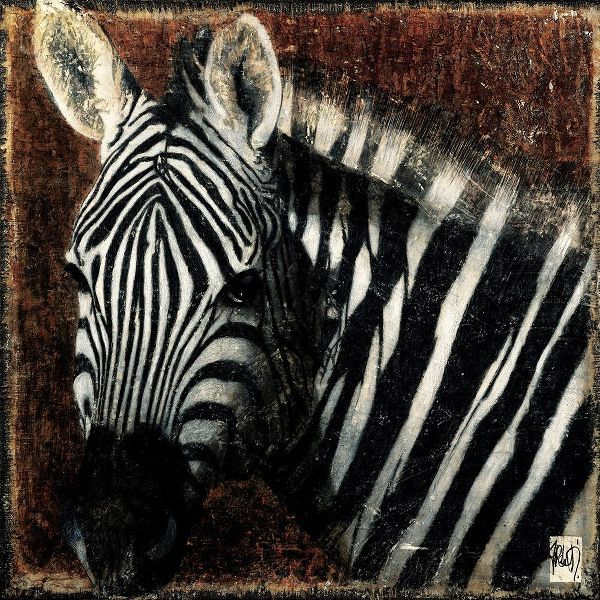 Portrait de zebre