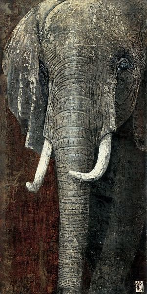 Elephant du Kenya