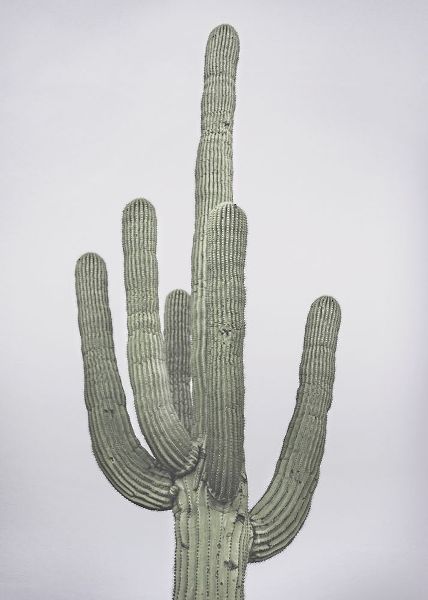 Cactus Totem