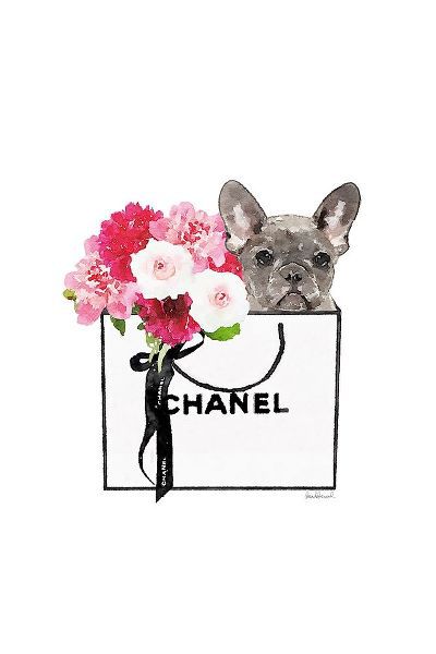 Frenchie and Shopping II