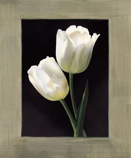 Trivelli, Andrea 아티스트의 Tulipani bianchi작품입니다.