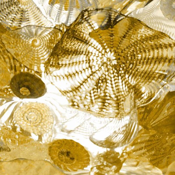Underwater Perspective in Gold I