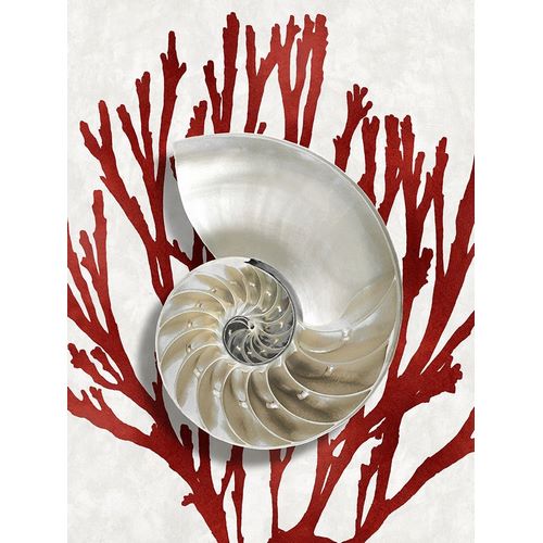 Shell Coral Red II