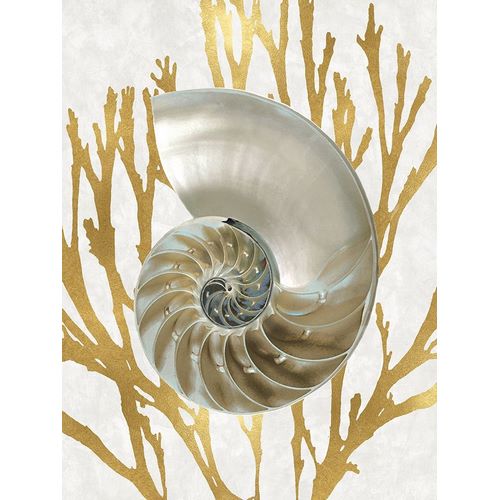 Shell Coral Gold II