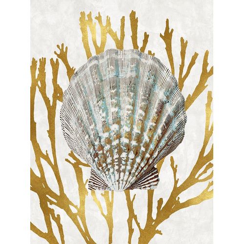Shell Coral Gold IV