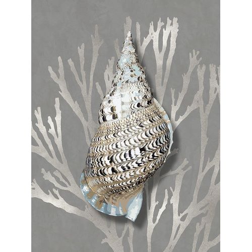 Shell Coral Silver on Gray I
