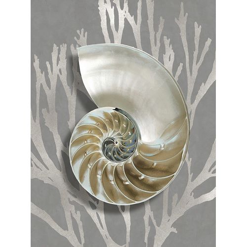 Shell Coral Silver on Gray II