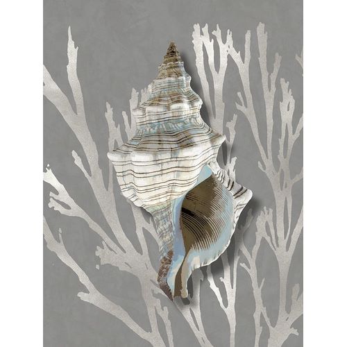 Shell Coral Silver on Gray III