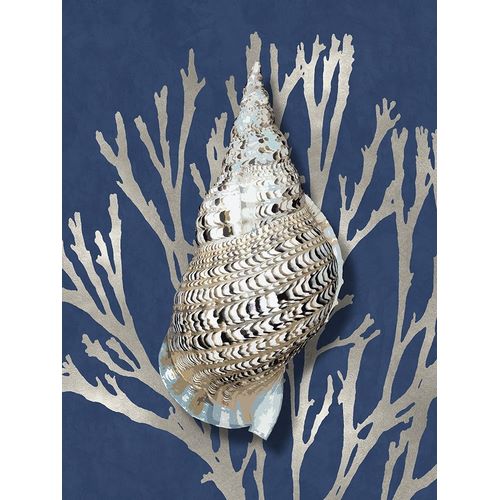 Shell Coral Silver on Blue I