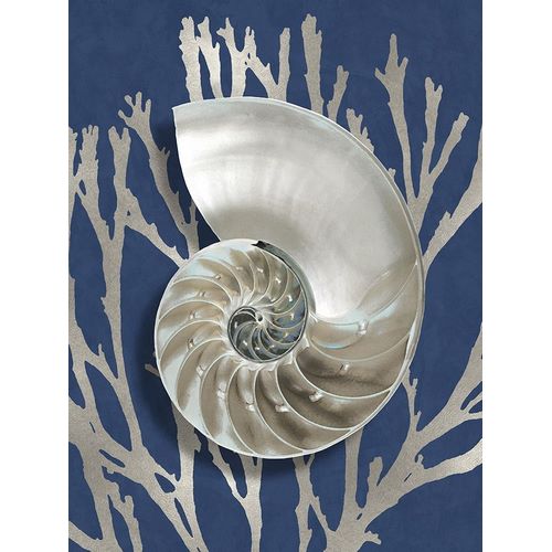 Shell Coral Silver on Blue II