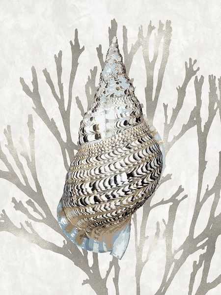 Shell Coral Silver I
