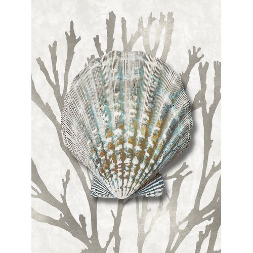 Shell Coral Silver IV