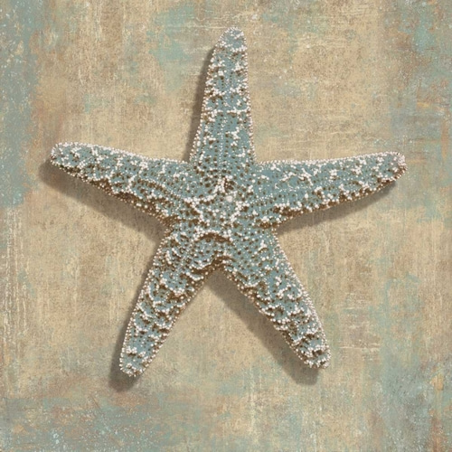 Aqua Starfish