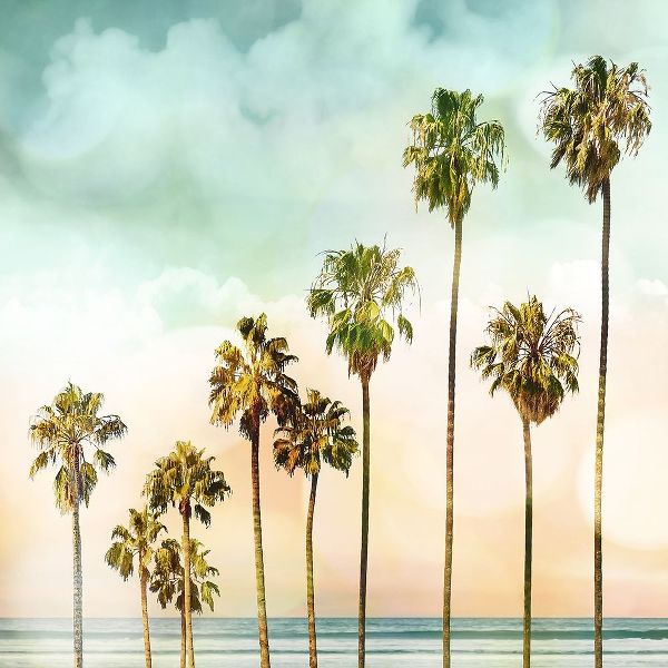 Beach Palms I