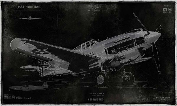 Vintage War Plane