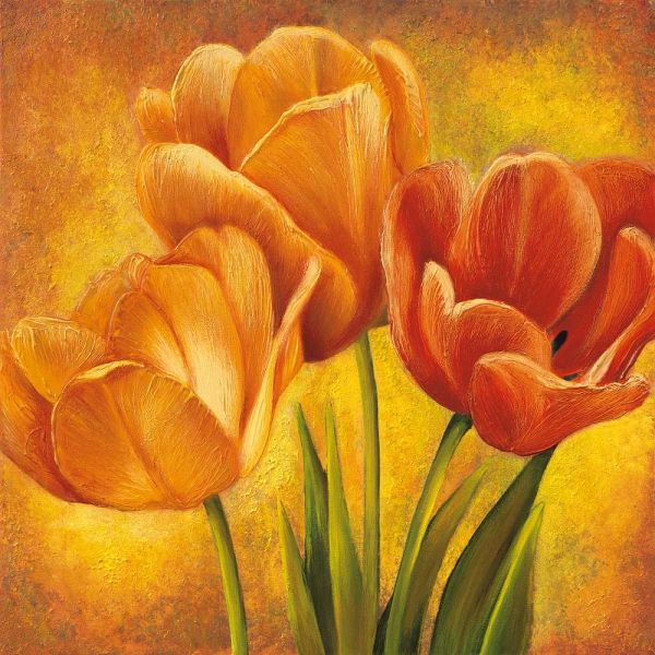 Orange Tulips II
