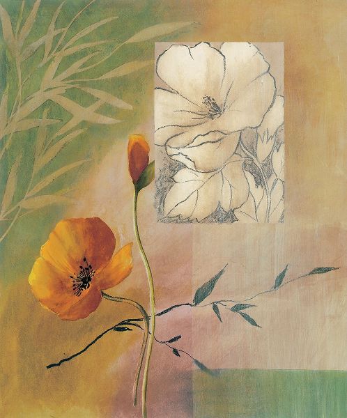 Boulez, Genevieve 아티스트의 Fleurs et couleurs II작품입니다.