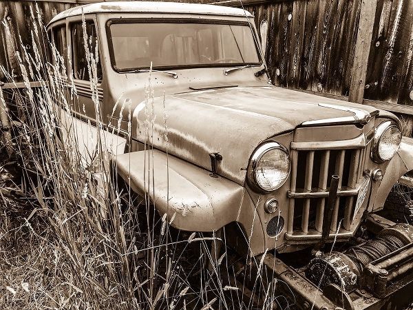 Willys in Sepia