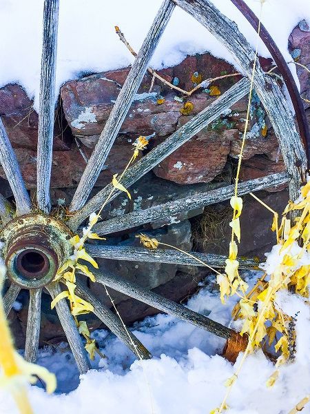 Montana Wagon Wheel I