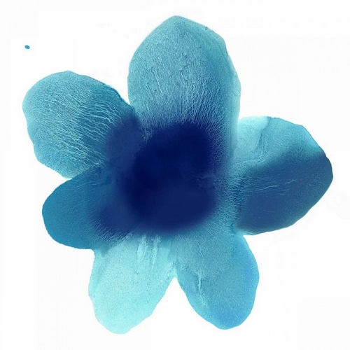 Blue Bloom I