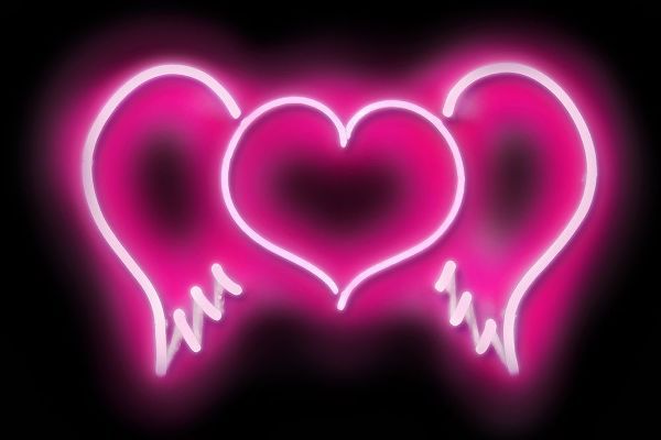 Neon Heart Wings PB