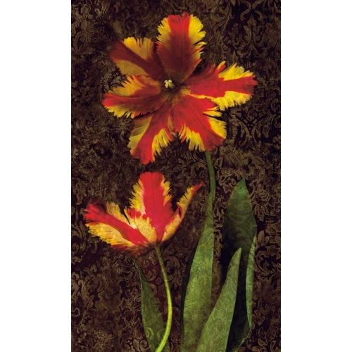 Decorative Tulips II