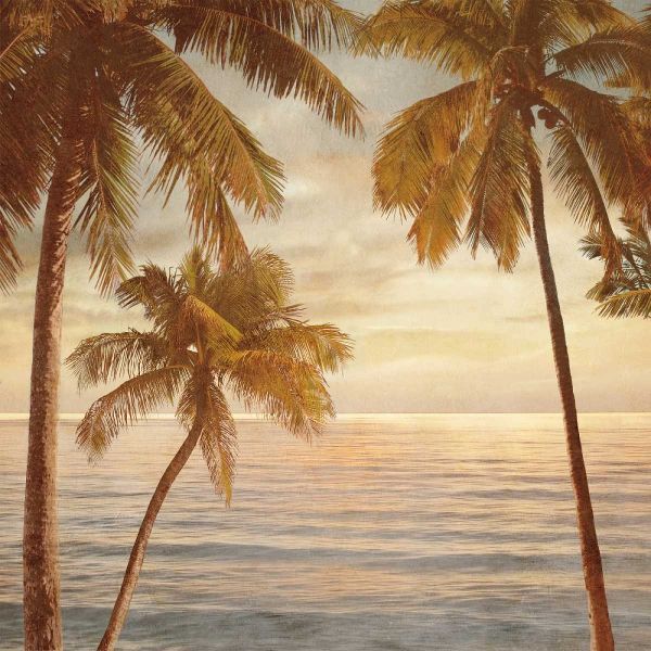 Palms on the Water II