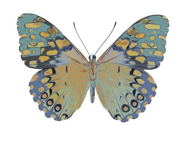 Butterfly in Amethyst II