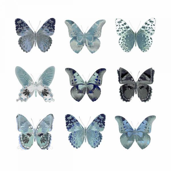 Butterfly Study in Blue II