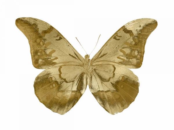 Golden Butterfly III