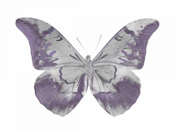 Butterfly in Amethyst I