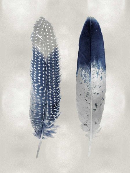 Blue Feather Pair on Silver