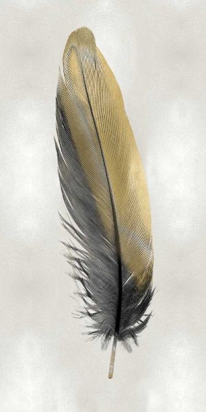 Gold Feather on Silver I