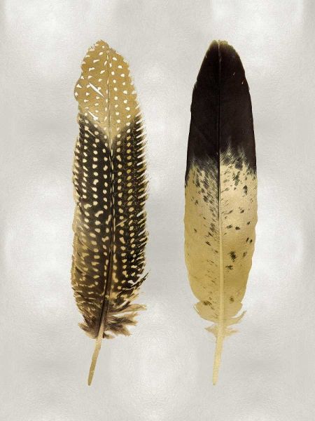 Gold Feather Pair on Silver