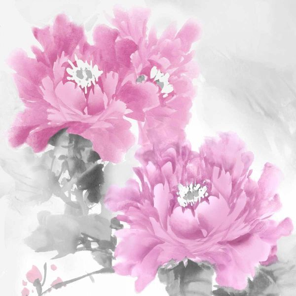Flower Bloom in Pink II