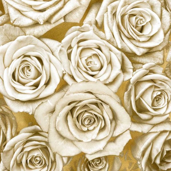 Ivory Roses on Gold
