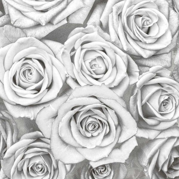 Roses - White on Silver