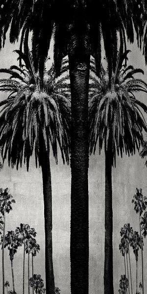 Palms with Silver II