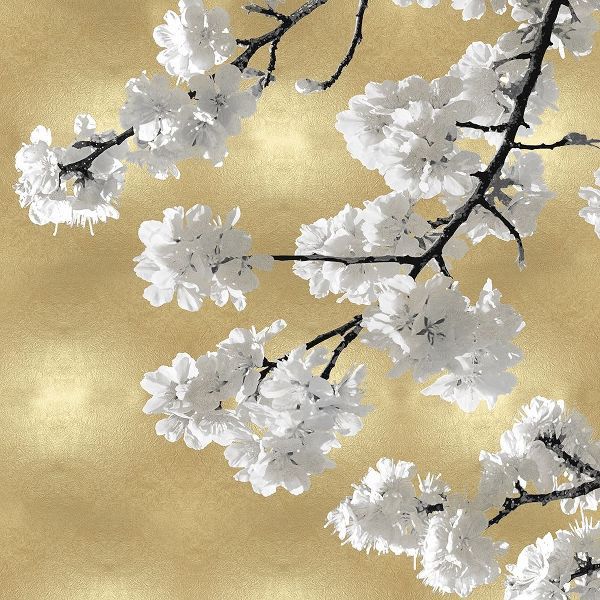 Blossoms on Gold IV