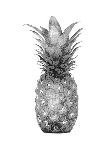 Pineapple Gray I