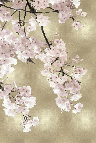 Pink Blossoms on Gold I