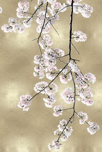 Pink Blossoms on Gold III