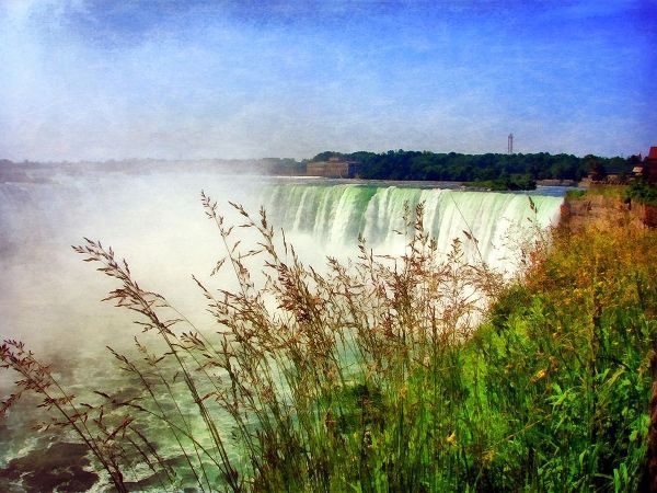 Niagara Falls With Grasses