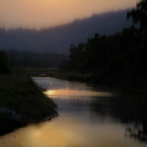 Sunlit River