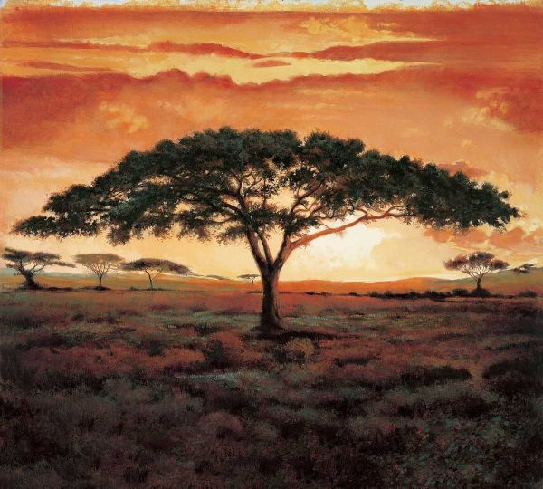 Masai Tree