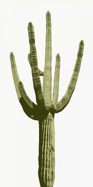 Saguaro I