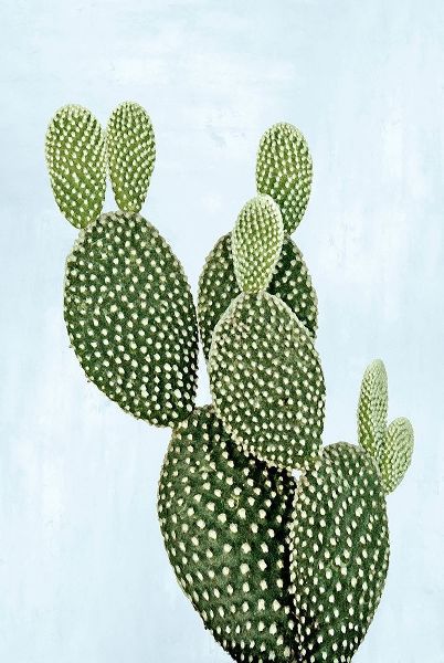 Cactus on Blue V