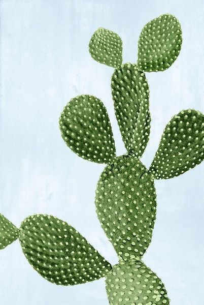 Cactus on Blue VI